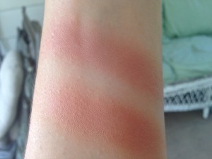 Too Faced Soul Mates Blushing Bronzers Swatches