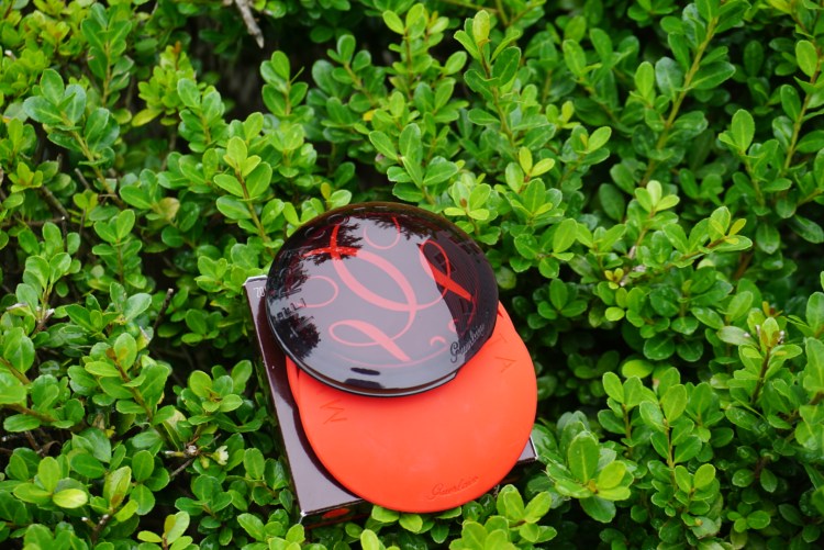 Guerlain Terracotta Bronzing Powder